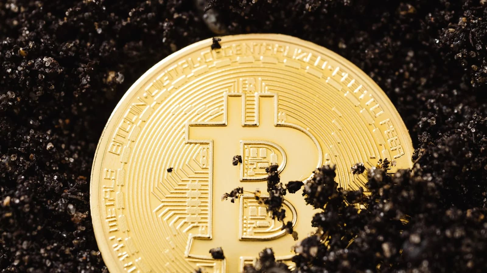 Golden Bitcoin coin partially buried in dark soil