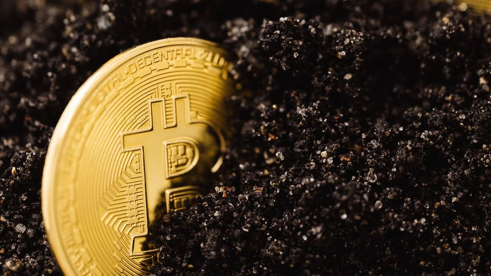 Gold Bitcoin coins partially buried in dark soil