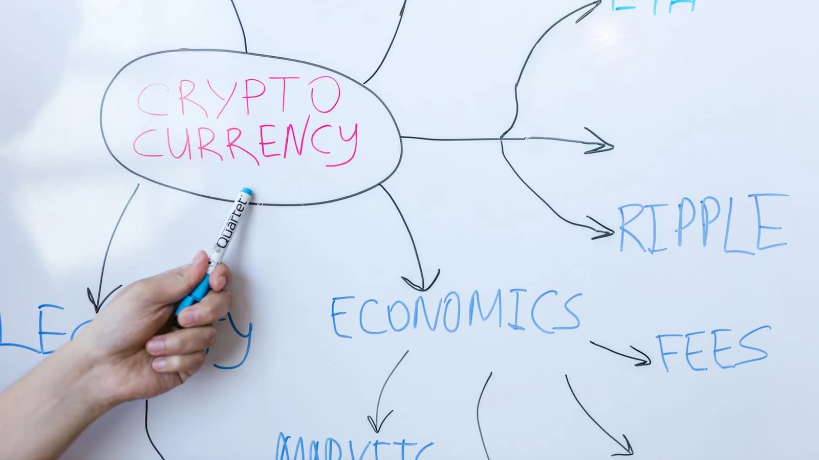 Hand writing cryptocurrency concepts on whiteboard in business meeting.